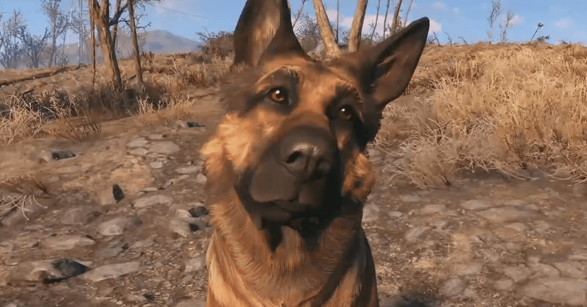 Fallout 76: Zwierzęcy towarzysze mogą wkrótce trafić do gry