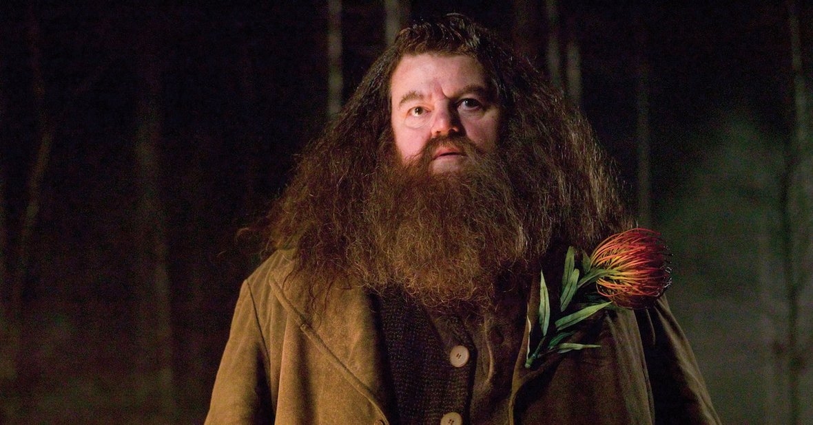 Hogwarts Legacy z hołdem dla aktora, który grał Hagrida