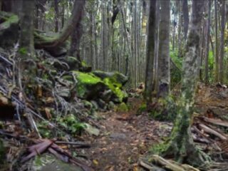 Silnik graficzny powodujący opad szczęki. Ale&nbsp;czy&nbsp;jest prawdziwy? [WIDEO]