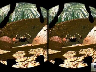 Symulator Mrówki anulowany, budżet wydano na&nbsp;„alkohol i&nbsp;striptizerki”