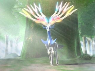 Pokemon X/Y: Złap je&nbsp;wszystkie [WIDEO]