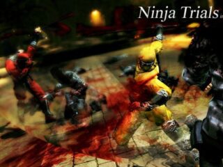 Ninja Gaiden 3: Będzie tryb co-op. A&nbsp;na&nbsp;razie jest nowy trailer [WIDEO]