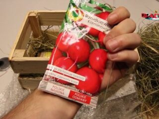 Polska Farma 2017: Rozpakowujemy symulator rolnika [WIDEO]