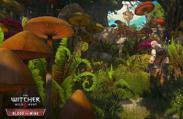 Wiedźmin 3: Dziki Gon – Krew i wino. Chłopcy i dziewczyny, mamy nowe screeny