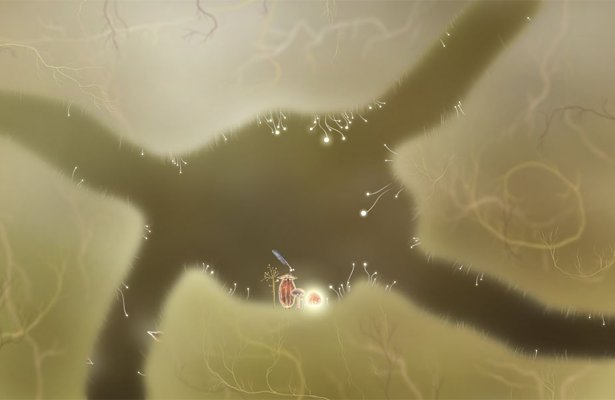 Botanicula: Przybliżona data premiery