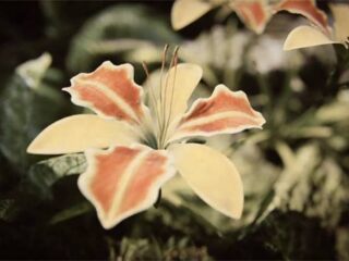 Unreal Engine 3: Nowa wersja silnika w akcji [WIDEO]