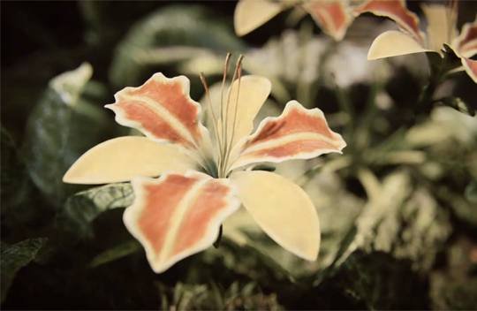 Unreal Engine 3: Nowa wersja silnika w akcji [WIDEO]