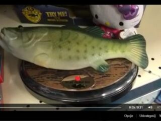 Tymczasem na&nbsp;fejsie…