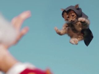 Najsłodsze i&nbsp;najgroźniejsze futrzaki na&nbsp;świecie – koty-asasyny! [WIDEO]