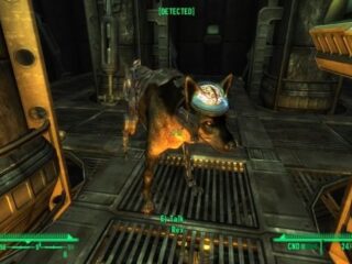 Fallout: New Vegas ? Konfigurator Live