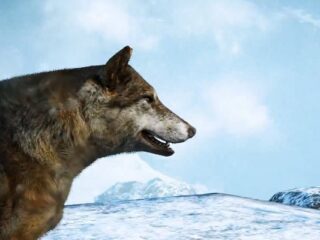 Far Cry 4: Z&nbsp;wycieczką po&nbsp;Himalajach i&nbsp;centrum Kyratu [WIDEO]