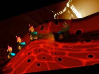 Privates: Gra, która dzieje się w częściach intymnych ma już trailer [WIDEO]