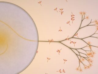 Indie Royale: Nowy bundle z&nbsp;tytułami wybranymi przez&nbsp;graczy