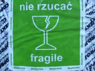 Wiedźmin 2: Zabójcy Królów: Unboxing kolekcjonerki… a&nbsp;dokładniej samej głowy [WIDEO]