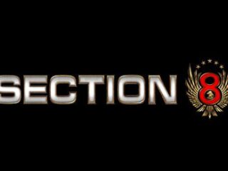 Section 8 – screeny