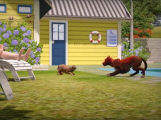 The Sims 3: Zwierzaki – konsolowa limitowana edycja z psem mabari [WIDEO]