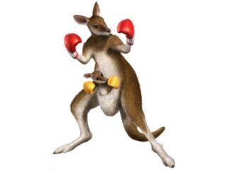 [Po mojemu] Przemoc, czyli wieczna kość niezgody