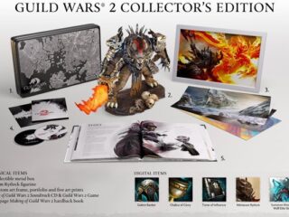 Guild Wars 2: Bonusy przedpremierowe i&nbsp;edycja kolekcjonerska. Trochę droga…