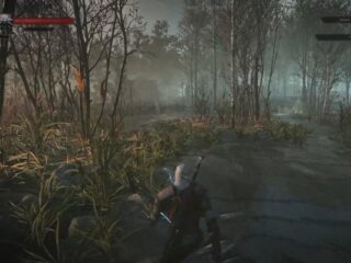 gamescom 2014: Co&nbsp;powiecie na&nbsp;nowy gameplay z&nbsp;Wiedźmina 3: Dzikiego Gonu? [WIDEO]