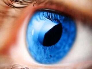 Hydraulik Mario: Uszczelni rurę, uzdrowi wzrok…