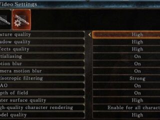 Wyciekł obrazek z&nbsp;ustawieniami graficznymi komputerowego Dark Souls II