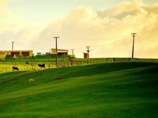 [Na marginesie] E-sport, dymy, Asasyny