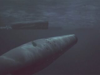 Silent Hunter Online: Symulacja łodzi podwodnej przenosi się do&nbsp;sieci [WIDEO]