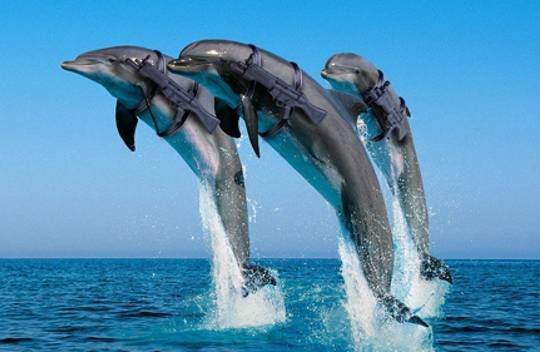 Ecco: Water Wars 2 – SEGA odświeża swoją kultową serię… w wersji dla dorosłych graczy