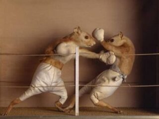 Activision: Tim Schafer? Nigdy nie&nbsp;spotkał Koticka. A&nbsp;sam Bobby „kocha branżę gier”…