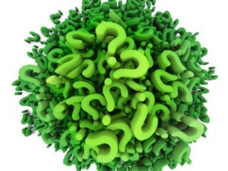 [QUIZ] Jak dobrze znasz CDA 02/2017?