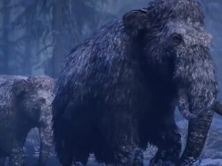 Far Cry: Primal – Kichać na&nbsp;słonia z&nbsp;FC4, POGRAMY MAMUTEM! [WIDEO]