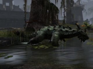 The Elder Scrolls Online: Wamasu, czyli przerośnięte krokodyle [WIDEO]
