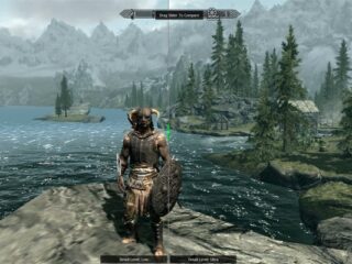 The Elder Scrolls V: Skyrim – niskie i&nbsp;wysokie ustawienia graficzne na&nbsp;interaktywnym wykresie
