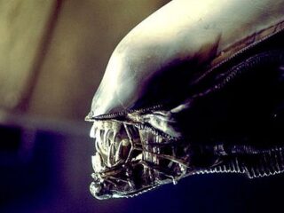 Projekt Aliens RPG jednak skasowany. WTF?!?