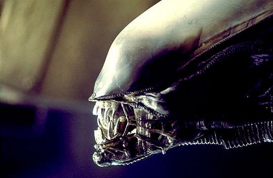 Projekt Aliens RPG jednak skasowany. WTF?!?
