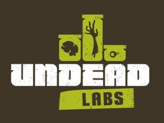 Będzie hit. Twórca Guild Wars zamierza stworzyć… zombie MMO