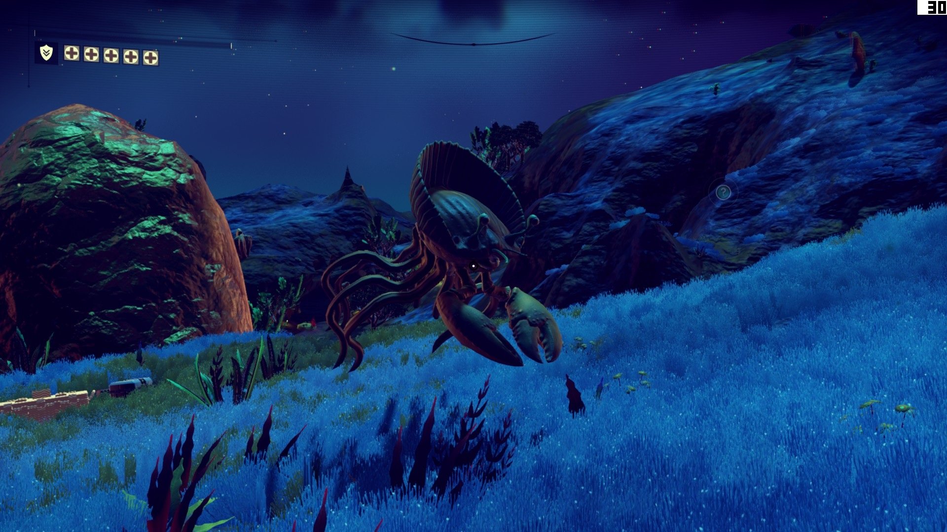 nms-galeria6_1786l.jpg