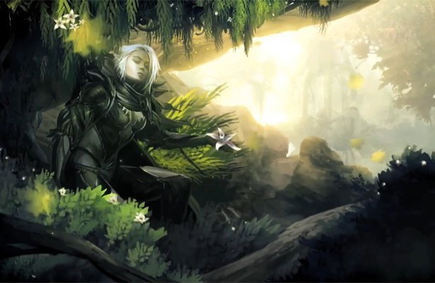 Guild Wars 2: Dev diary o rasie Sylvari [WIDEO]