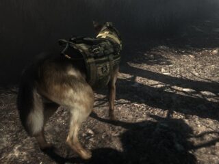 Wiedźmin z&nbsp;realistycznymi włosami. Nvidia prezentuje technologię HairWorks [WIDEO]