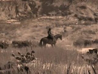Red Dead Redemption: Gra jeszcze nie wyszła, ale fani już robią o niej filmiki