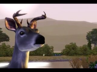 gamescom 2011: The Sims 3 Zwierzaki – Baw się z pazurami [WIDEO]