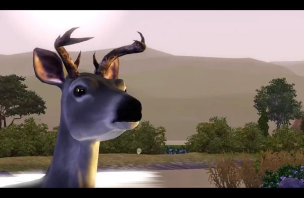 gamescom 2011: The Sims 3 Zwierzaki – Baw się z pazurami [WIDEO]