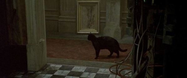 CD-Action_12_2014 przeciek 2_bzowm.jpg