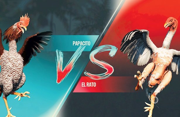 Far Cry 6: PETA krytykuje Ubisoft za przedstawienie walk kogutów w grze jak scen z Mortal Kombat