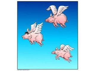 Duke Nukem Forever: Czy świnie nauczyły się latać?