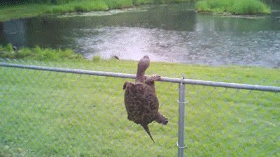 nadgodziny-07-09-14 (4)_4bh5.gif
