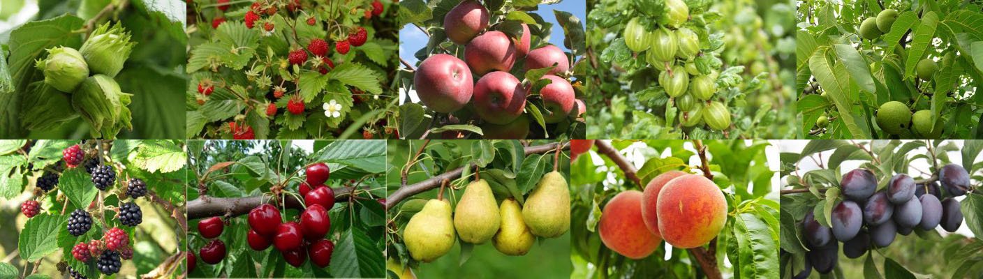 CD-Action_01_2016 przeciek 6_bzwru.jpg