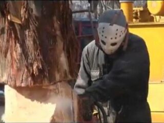 Ten facet, korzystając z piły mechanicznej i koparki, rzeźbi w pniu postać z gry. Zgadnij jakiej… [ WIDEO]