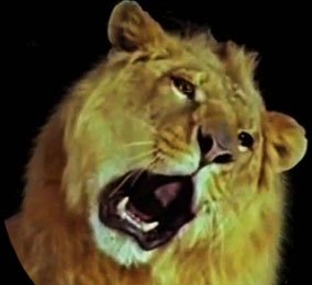 CD-Action_03_2015 przeciek 3_4bhw.jpg