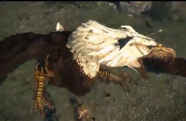 Dragon´s Dogma: Walka z gryfem [WIDEO]